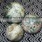 Wholesale high quality gemstone Tree agate balls | Wholesale Suppiler of Agate Stone Balls INDIA