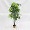 cheap artificial fortune pant trees plastic trunk indoor