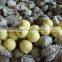 2015 fresh ya pear packing in carton with good quality