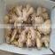 Ginger Price 2015 New Crop