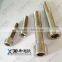 316L / 317L / 321 / 347 stainless steel hex socket head cap bolt