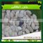 good quality snow white pumpkin seeds for export