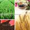 Factory Directly Provide high quality Amino Acid Fertilizer for all crops
