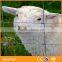 best price buffalo wire fence/mesh wire with stand/sheep fence