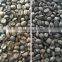 Double CCD Camera Coffee Bean Color Sorter , Rice / Grain Optical Color Selector
