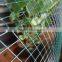 65Mn welded wire mesh in mining industry