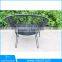 Unique Iron peacock chair flat wicker garden chair