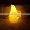 night lights amazon, night lights and myopia, night lights and fires