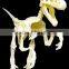 Exquisite dinosaur toys miniature,Custom plastic small dinosaur toys figure, Plastic dinosaur skeleton toy