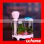 UCHOME Mini Humidifier/Ultrasonic Aquarium Humidifier Mini And Portable