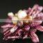Handmade multi layer organic natural freshwater pearls flower brooch wholesale