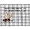 anti insect mesh Agriculture insect mesh insect proof mesh(factory)