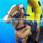 New model horse ride for adult and kids walk animal toy