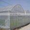 The Cheapest Hot Sale Mappower Agricultural  Plastic Greenhouse