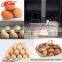Chicken egg classifying machine/ Automatic Packing Egg Grading Machine