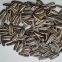 361 type hybrid sunflower seeds for planting