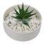 Round Shape White Glazed Ceramic Vase Succulent Planter Pot for Home Decoration