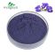 ISO Certificated Factory Supply Butterfly Pea Flower Powder Free Sample Food Grade Natural Color Butterfly Pea Tea Powder
