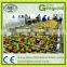 Top quality apple juice process plant / apple juice extracting press