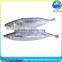 100/200g 200/300g 300/500g 400/600g scomber mackerel