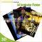 Made in china large size lenticular 3d poster