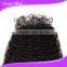 cheap lace closure ,afro curl, natural color