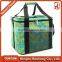 Soft sided insulated cooler bag/Fancy cooler bag