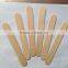 Birch Wooden Ice cream sticks from yantai zhitong