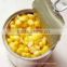 Canned sweet corn in 12 0z tins