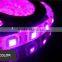 SMD 5050 60LED/METER PINK LED FLEXIBLE STRIP TAPE LIGHT DC 12 VOLTS WATERPROOF IP65 14.4W/M 900LM/M STRIPE CE/ROHS NEW