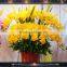 High quality latex orchid yellow phalaenopsis orchid