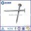 Best selling 6" 60D hot-dipped galvanized ring shank patio nail