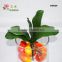 artificial Succulents plants green leaf & orchid leaf