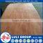 One Time Hot Press Poplar Plywood From China