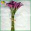 Artificial Mini Calla Lily Bulbs Bouquet Flower for Decoration Supplier's Choice