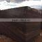 Elegant Brown Quartzite