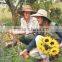 Cheap Men's Custom Panama Straw Hat