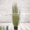 Lovely Artificial Zebra Grass For Home Decoration