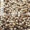 perilla seed for birds/white perilla seed for sale                        
                                                                                Supplier's Choice