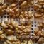 Supplying with Factory Price Walnut Kernels Light Halves for sale