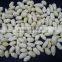 China blanched peanut kernels for sale