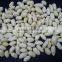 Chinese blanched peanut kernels in round shape with best price