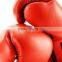Kick Boxing Gloves