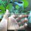 High Quality Full Curved 3D Phone Screen Protector For Samsung Galaxy Note 7