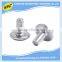 China hardware manufacturer high quality nonstandars stainless steel flat head screw