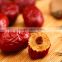 100% Country of origin special grade red jujube fruit 500g