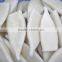 frozen fresh squid tube U4 U5 U7 U8