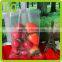 2016 new safe food bags cuctom high quality free sample pe bags for food