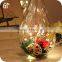 2016 Christmas Outdoor Decorations And Lighting With 3AA Battery