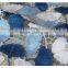 Latest wholesale fashion good quality chemical lace embroidery fabric